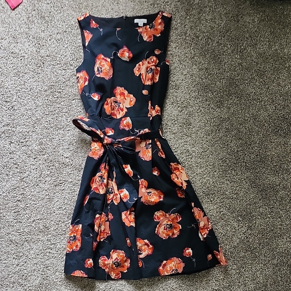 LL Bean Dress
